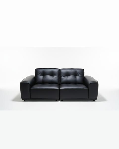 Independence 2 Seater in Leather